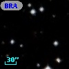 BRAN  58
