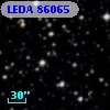 LEDA   86065
