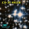 CD-31  4911B