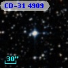 CD-31  4909