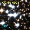 CD-31  4905