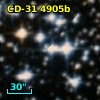 CD-31  4905b