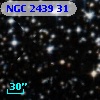 NGC  2439    31