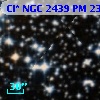 Cl* NGC 2439     PM      23