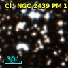 Cl* NGC 2439     PM       1