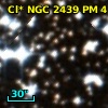 Cl* NGC 2439     PM       4