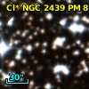 Cl* NGC 2439     PM       8