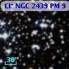 Cl* NGC 2439     PM       9