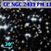 Cl* NGC 2439     PM      11