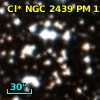 Cl* NGC 2439     PM      12