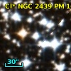 Cl* NGC 2439     PM      16