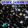 Cl* NGC 2439     PM      19