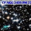Cl* NGC 2439     PM      22