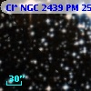 Cl* NGC 2439     PM      25