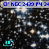 Cl* NGC 2439     PM      34