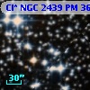 Cl* NGC 2439     PM      36