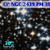 Cl* NGC 2439     PM      38