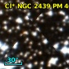 Cl* NGC 2439     PM      40