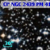 Cl* NGC 2439     PM      41