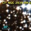 Cl* NGC 2439     PM      43