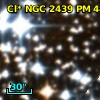 Cl* NGC 2439     PM      48