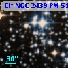 Cl* NGC 2439     PM      51