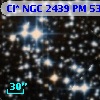 Cl* NGC 2439     PM      53