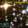Cl* NGC 2439     PM      59