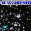 Cl* NGC 2439     PM      61