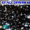 Cl* NGC 2439     PM      66