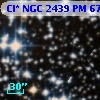 Cl* NGC 2439     PM      67