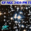 Cl* NGC 2439     PM      73