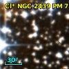 Cl* NGC 2439     PM      75