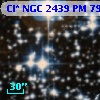 Cl* NGC 2439     PM      79