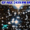 Cl* NGC 2439     PM      88