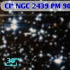 Cl* NGC 2439     PM      90