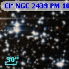 Cl* NGC 2439     PM     101
