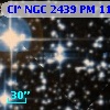 Cl* NGC 2439     PM     110