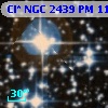 Cl* NGC 2439     PM     112