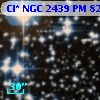 Cl* NGC 2439     PM      82