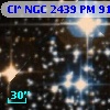 Cl* NGC 2439     PM      91
