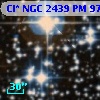 Cl* NGC 2439     PM      97