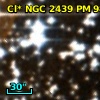 Cl* NGC 2439     PM      98