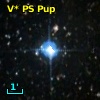 V* PS Pup