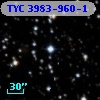 TYC 3983-960-1