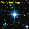 V* V608 Pup