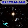 IRAS 07316-3646