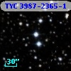 TYC 3987-2365-1