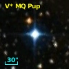 V* MQ Pup