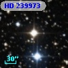 HD 239973
